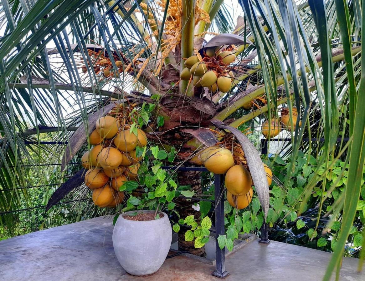 Weligama Bay Watsila Resort Eksteriør bilde